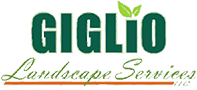 Giglio Landscape Services LLC logo with dark green text, green leaves, and orange underline.